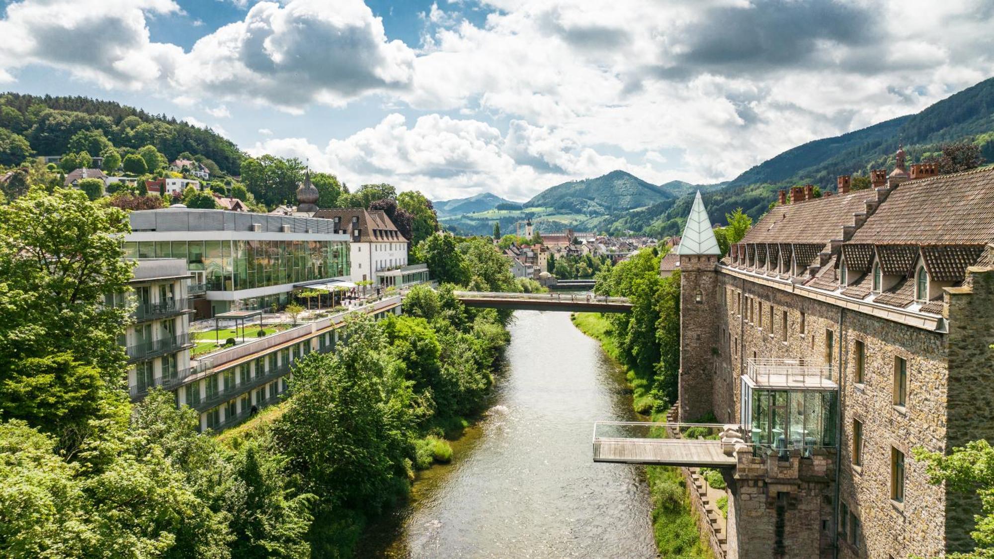 Das Schloss An Der Eisenstrasse Waidhofen an der Ybbs Buitenkant foto